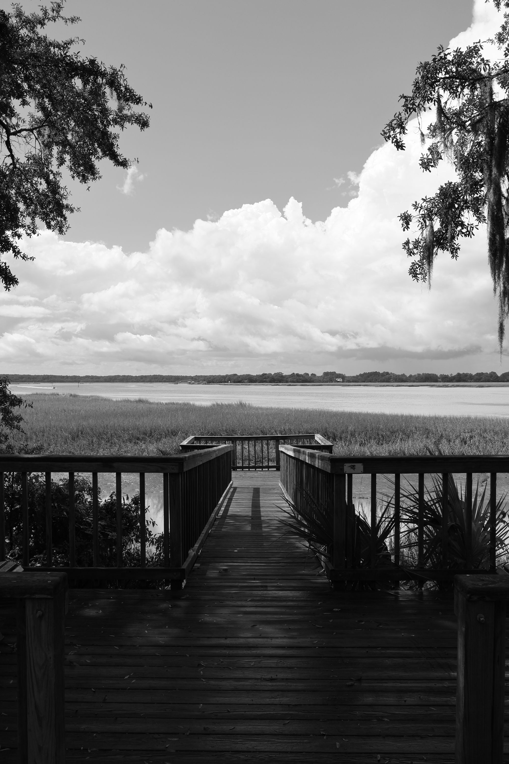 A wooden walkway framed by live oaks overlooking the marsh and water in Charleston, South Carolina