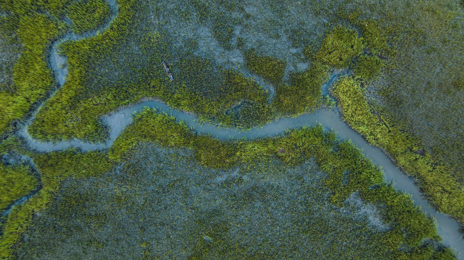 Aerial photograph of winding tidal waterways through Charleston’s green salt marsh